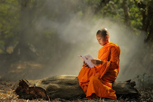 TRI - HÀNH để chứng ngộ