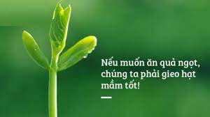Câu chuyện về luật nhân quả