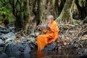 Học cách tu trong mọi việc